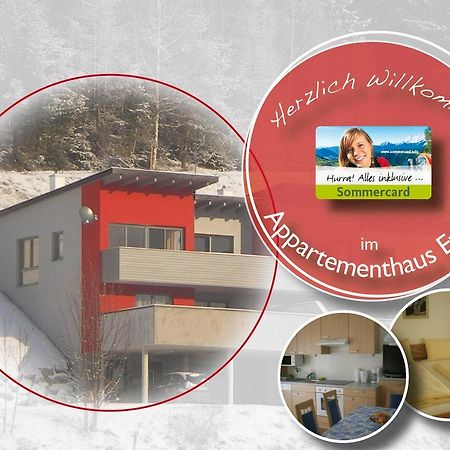 Appartementhaus Evelyn Schladming Luaran gambar