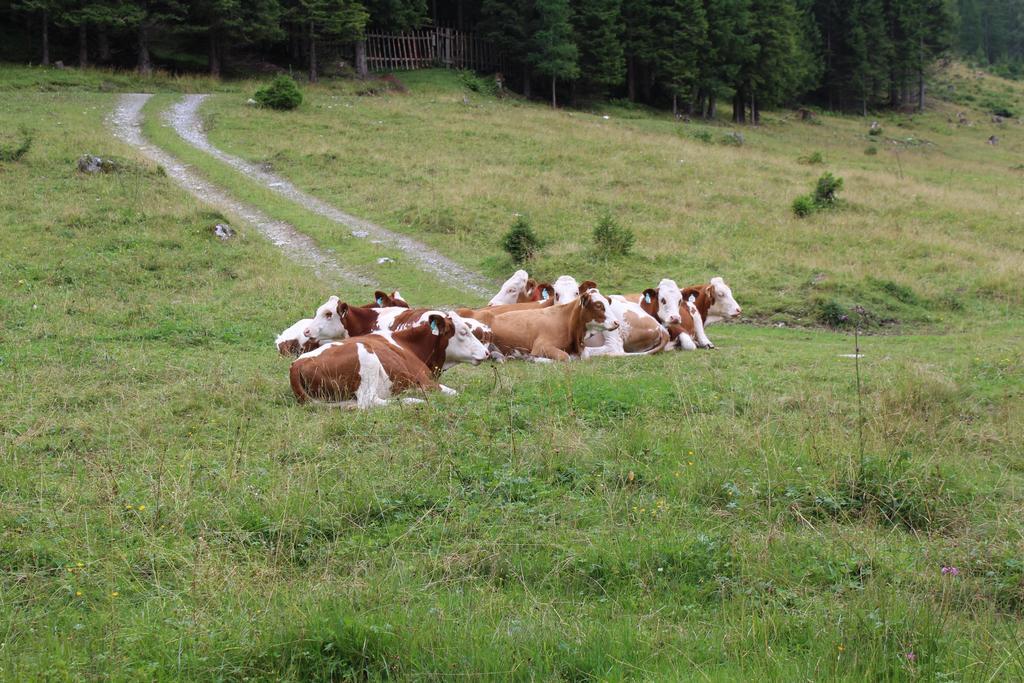 Appartementhaus Evelyn Schladming Luaran gambar